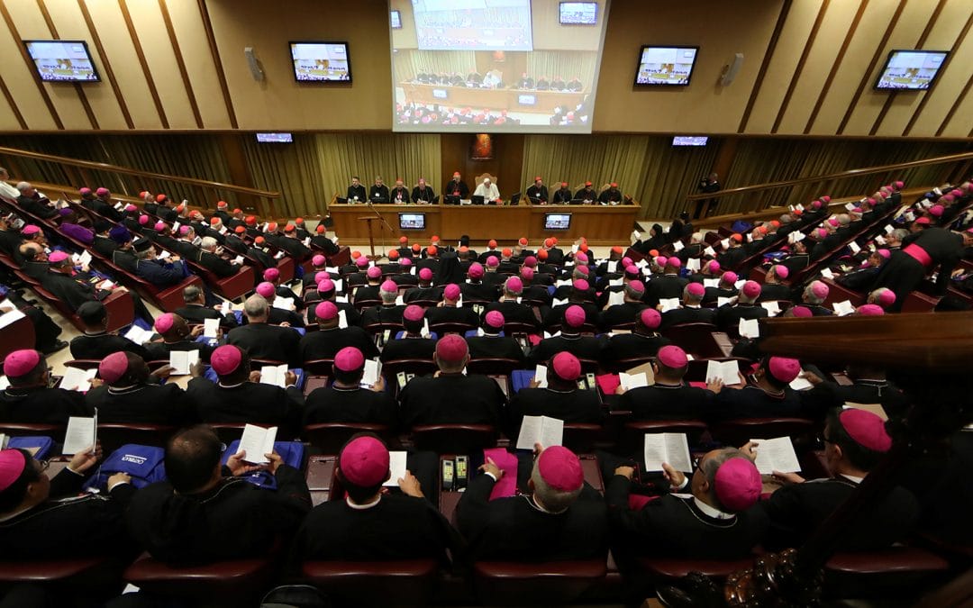 El Cardenal Lacunza, sobre el Sínodo: «Debe haber encuentro entre la Iglesia y los jóvenes»