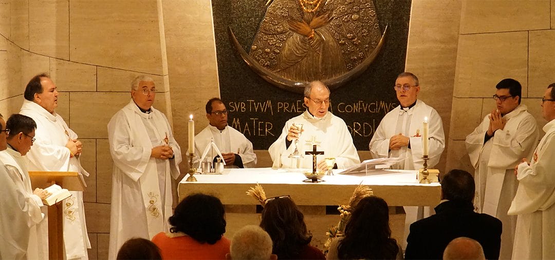 Recolección agustiniana en el Vaticano