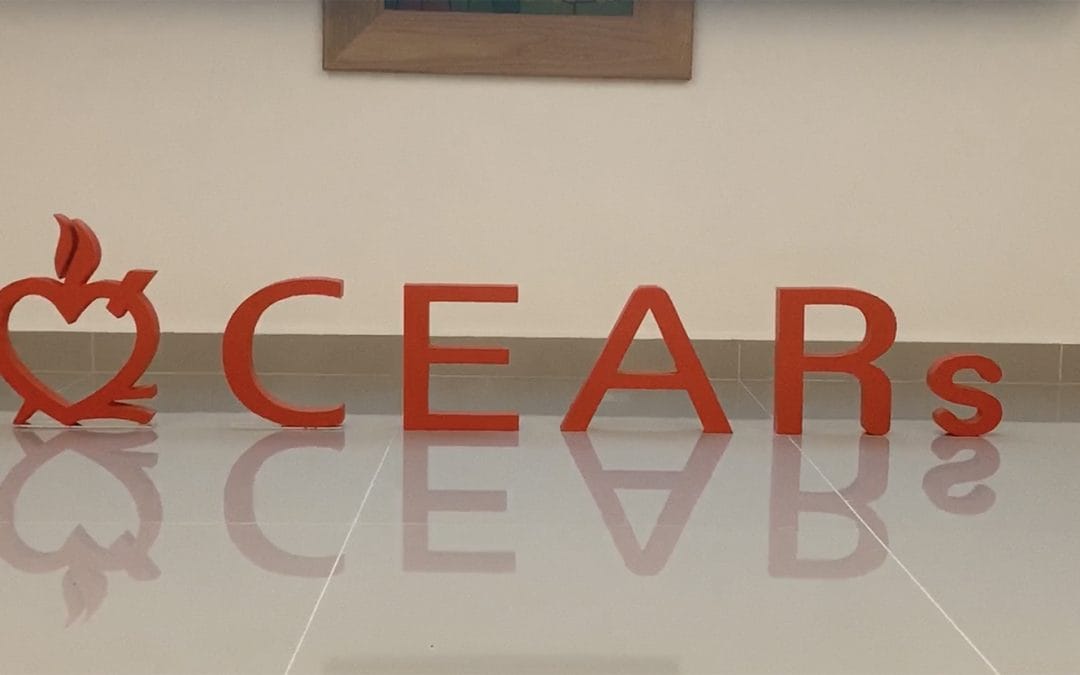 CEARs continue to walk together towards 2021