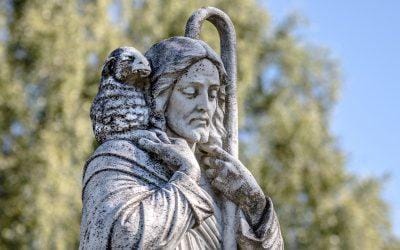 O Bom Pastor: a voz que chama, a cruz que salva, a Igreja que guia