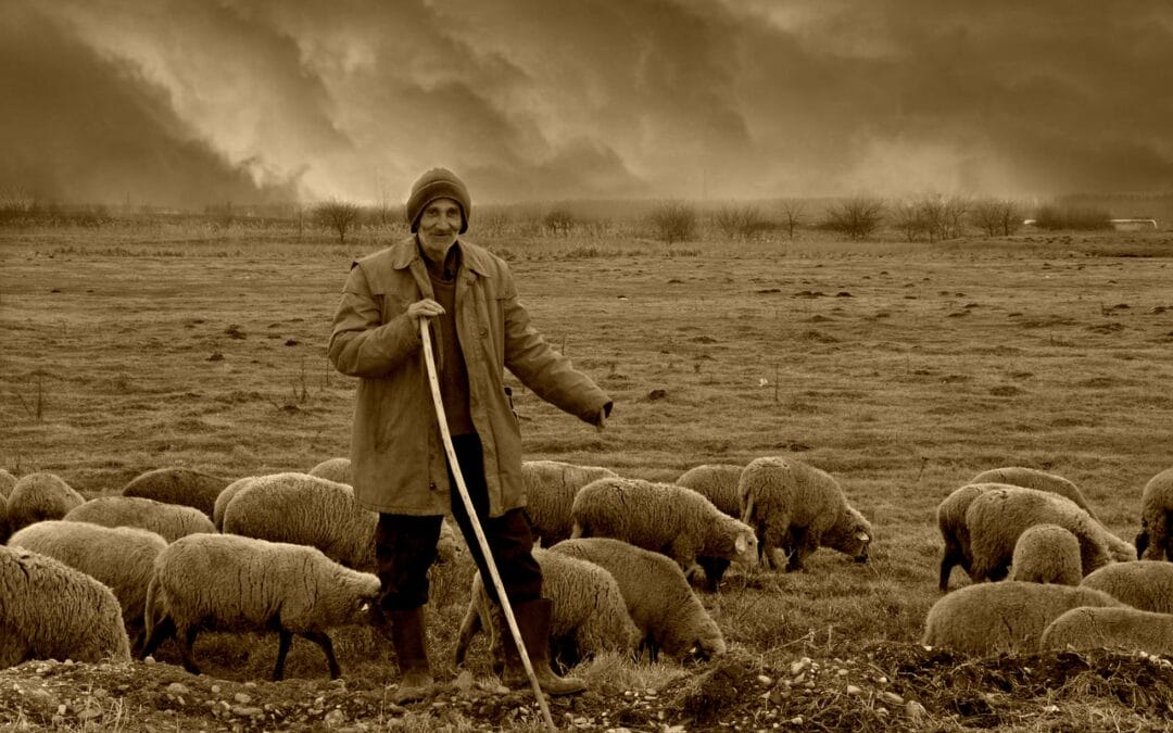 The image of the shepherd: meaning and relevance in the Christian life