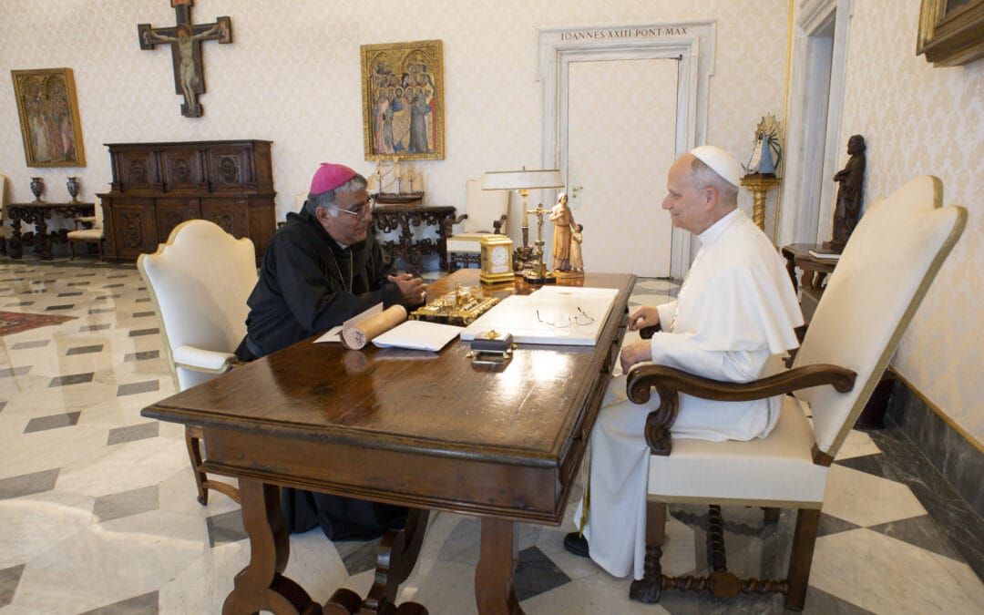 El primer Agustino Recoleto en tener una audiencia privada con el Papa